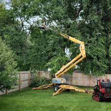 Best Lawn Maintenance Plans  in Douglas, GA
